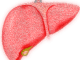 liver 4081243 1920