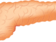 pancreas 2934621 1920