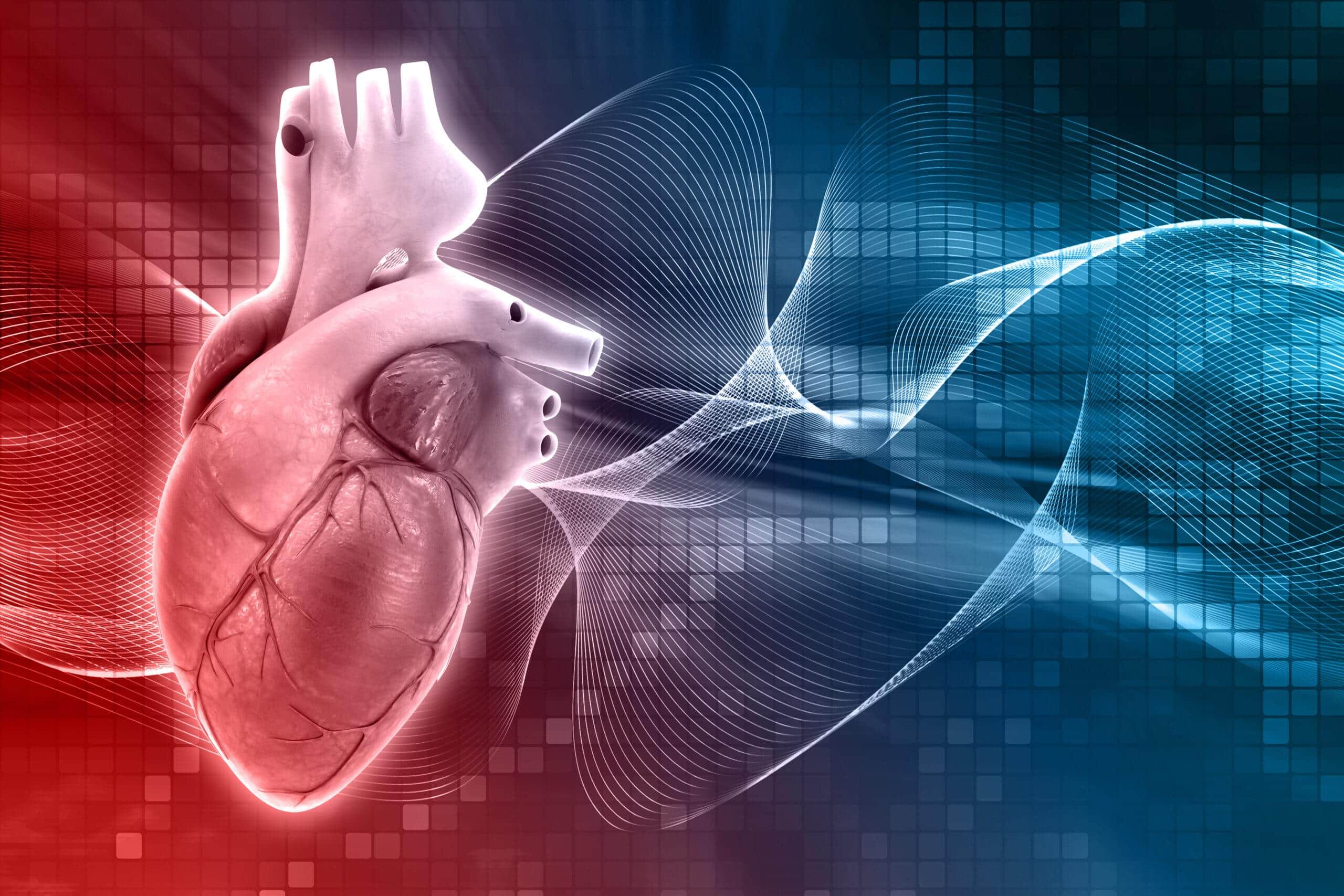 human heart design scaled