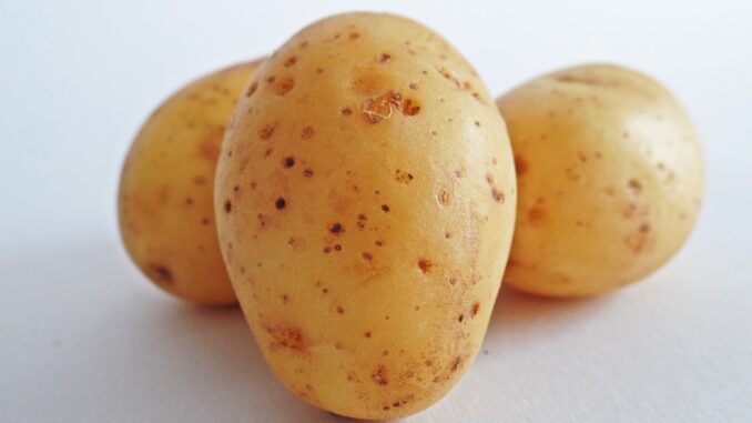 potatoes 448613 1280