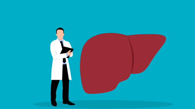 liver 6685574 1280