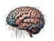 brain 8195505 1280